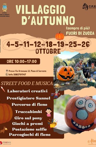 whatsapp image 2025-09-26 at 10